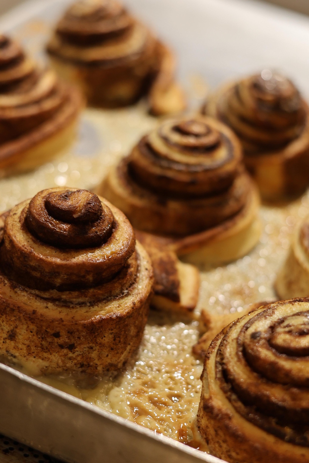 Classic Cinnamon Rolls